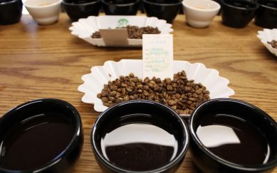 Embark on a Flavorful Journey: Coffee Cupping