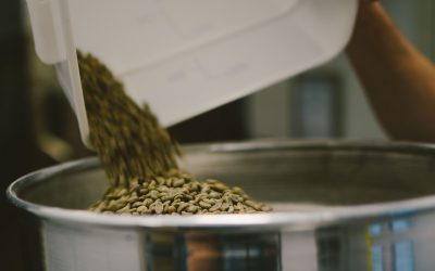 Storage and Handling: Preserving the Freshness of Green Coffee