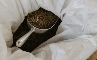 Intercontinental Coffee Trading’s Free Samples of Raw Green Coffee Beans